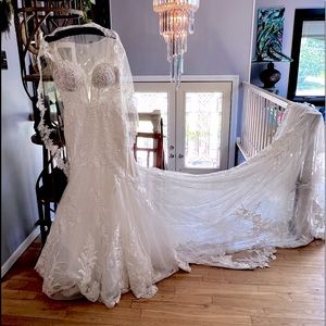 Martina Liana  Wedding Dress & Veil